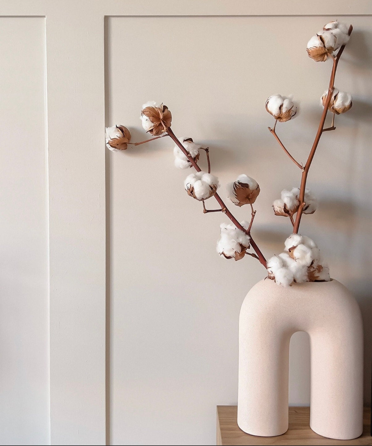 Natural Dried Cotton