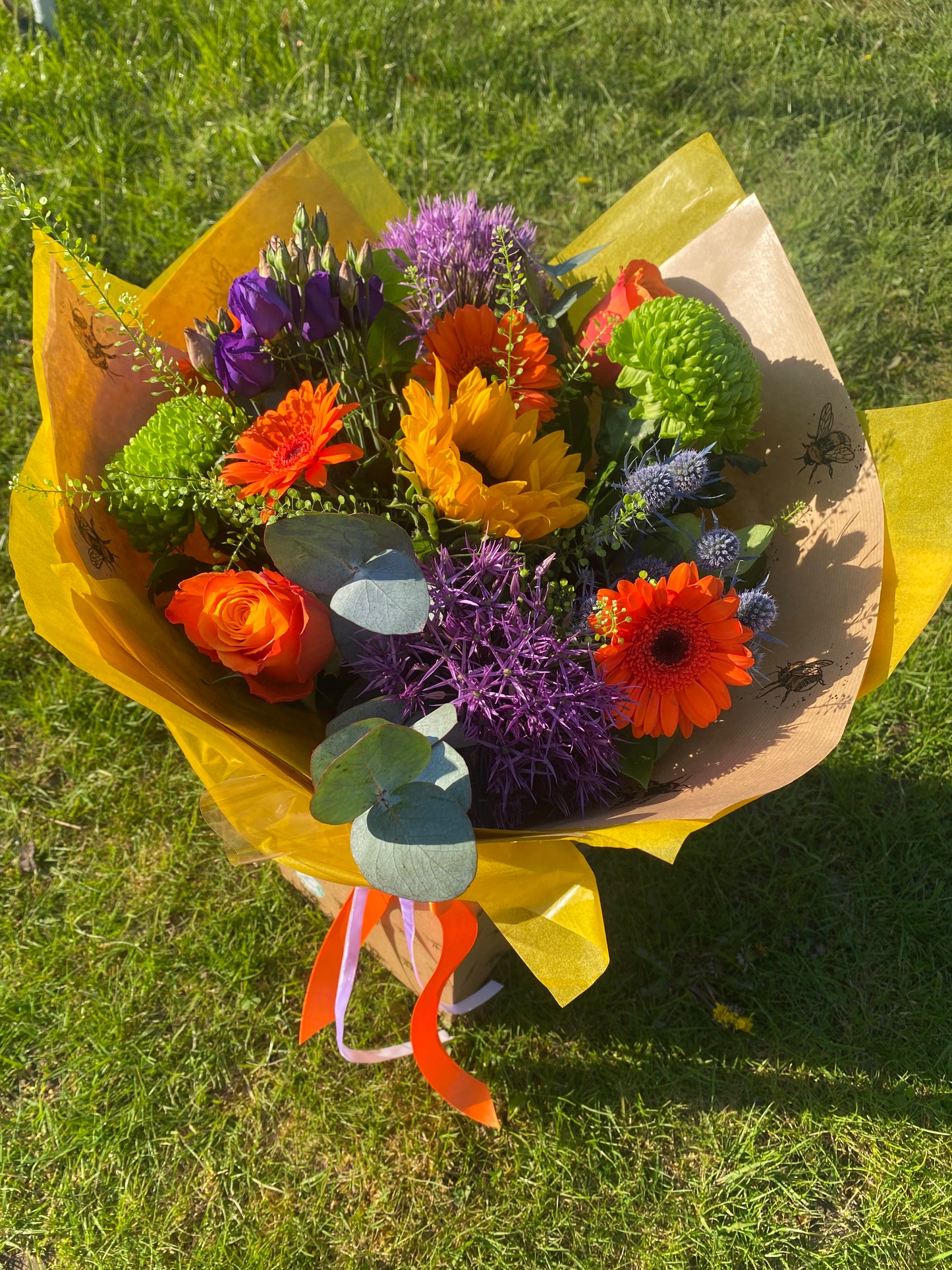 Colourful Brights