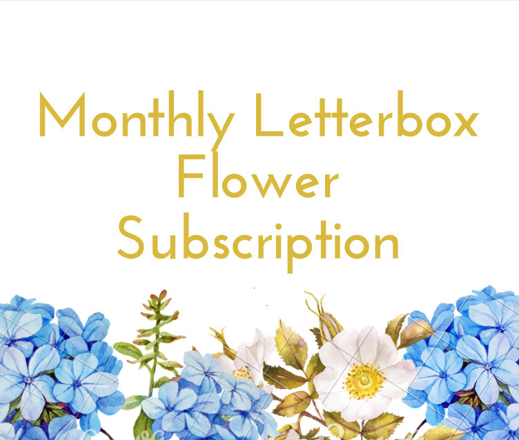 UK Postal Subscription Flowers